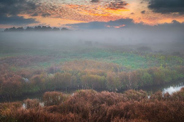 Jaynes Gallery 아티스트의 USA-West Virginia-Davis Fog over stream in valley at sunrise작품입니다.